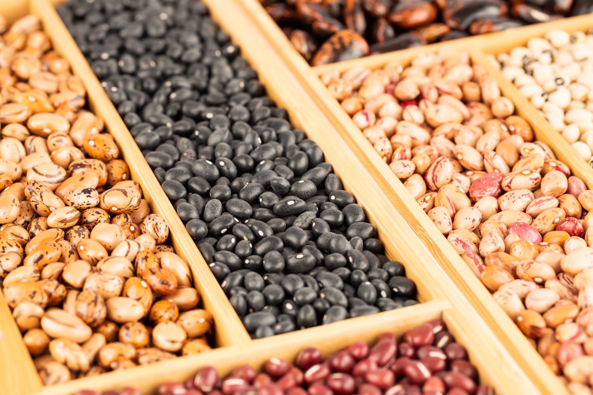 fasola ozdobna zastosowanie 