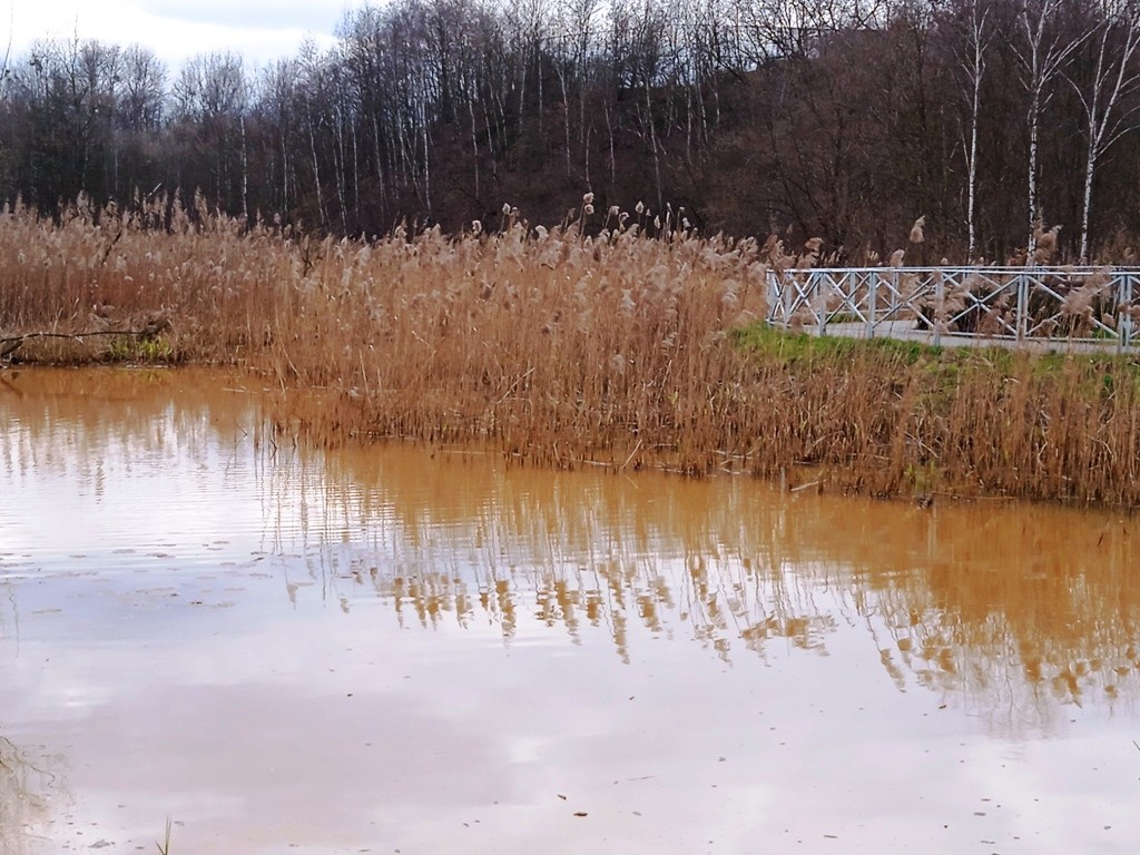 Pozostałe, WIOSNA W PARKU