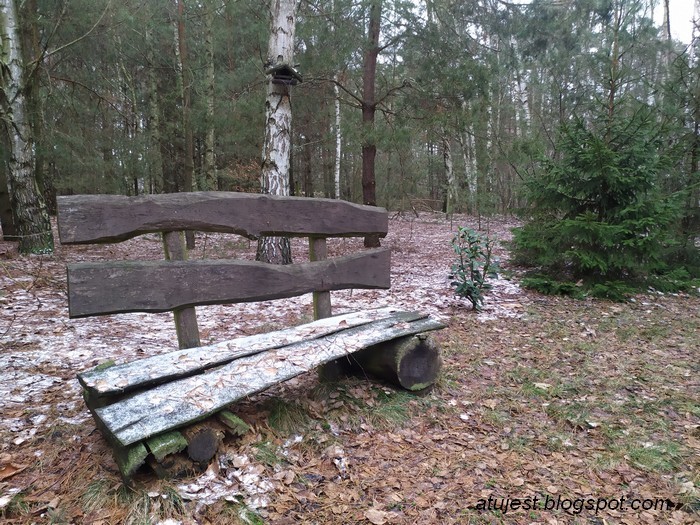 Leśne klimaty, Ogród leśny - cz. 4 - Tak teraz wygląda ławka z pierwszego foto.