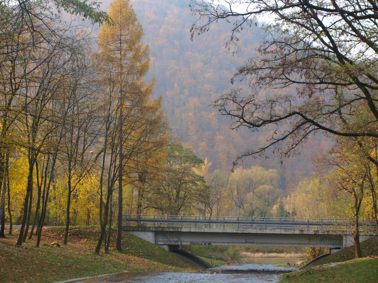 Leśne klimaty, W jesiennym nastroju