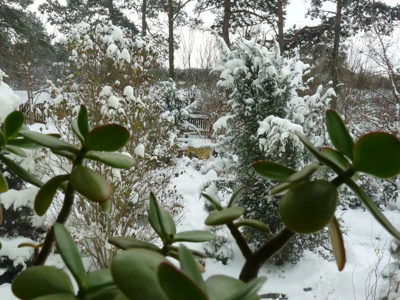 Pozostałe, Już biało