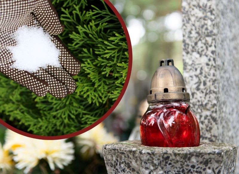 Rozsypywanie soli na cmentarzu negatywnie wpływa nie tylko na rośliny, ale również na nagrobki.