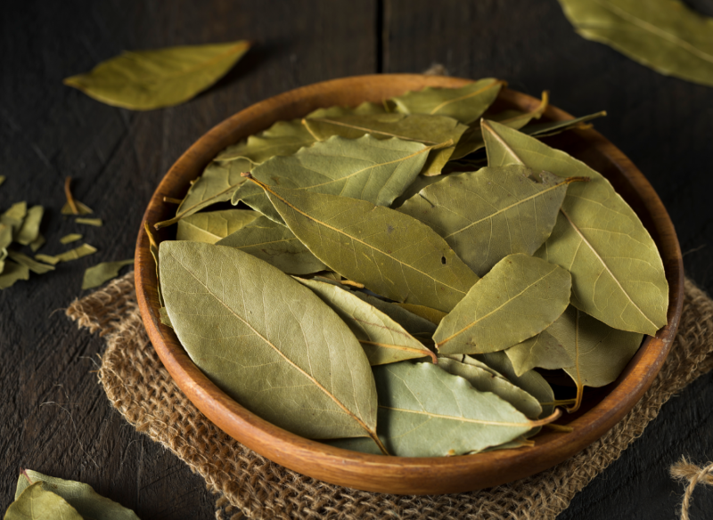 liść laurowy zastosowanie