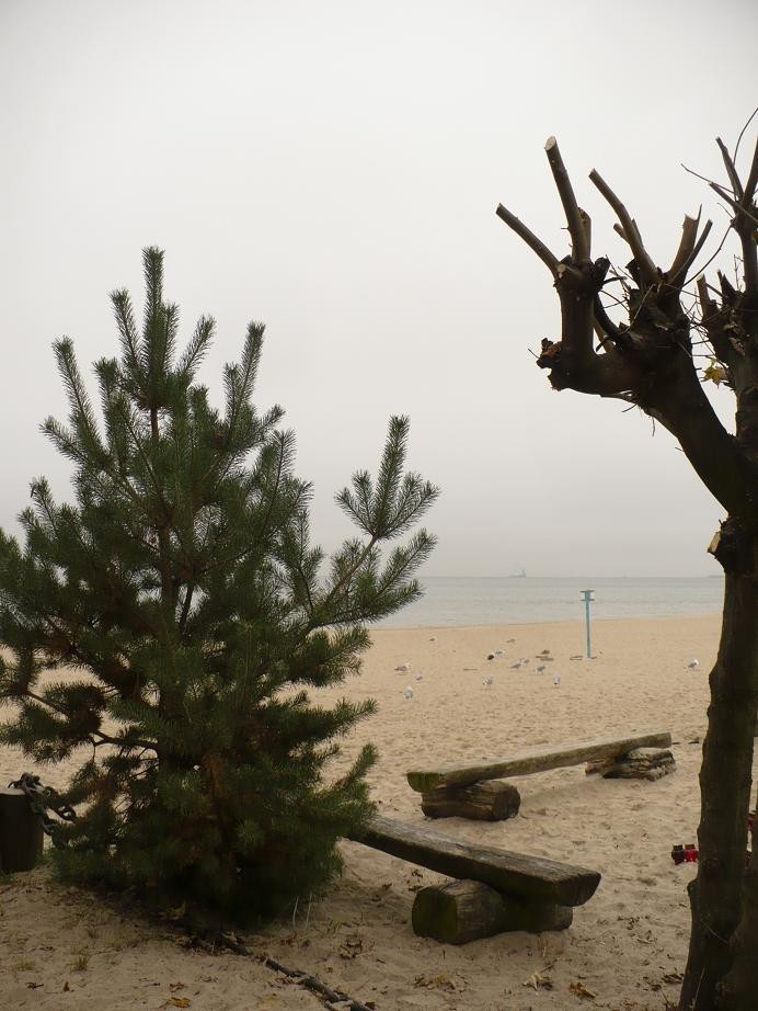 Pozostałe, Białe bombki ...............i obrazek niespodzianka ............ - ...........i szaro - buro  na plaży............