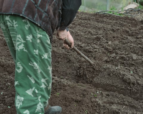 Co daje nawożenie ogrodu wapnem? Kiedy i jak stosować nawozy wapniowe?