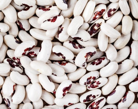 Fasola z orzełkiem pod zaborami była zakazana. Uprawa i zastosowanie fasoli patriotycznej