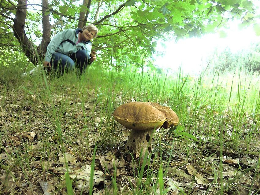 Leśne klimaty, dary lasu  na Dzień Dziecka