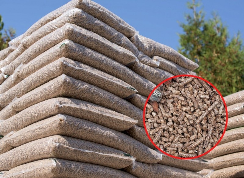 pellet z lasów państwowych 