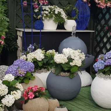 Dekoracje i ozdoby do ogrodu Kobea Ogrody i Bruki