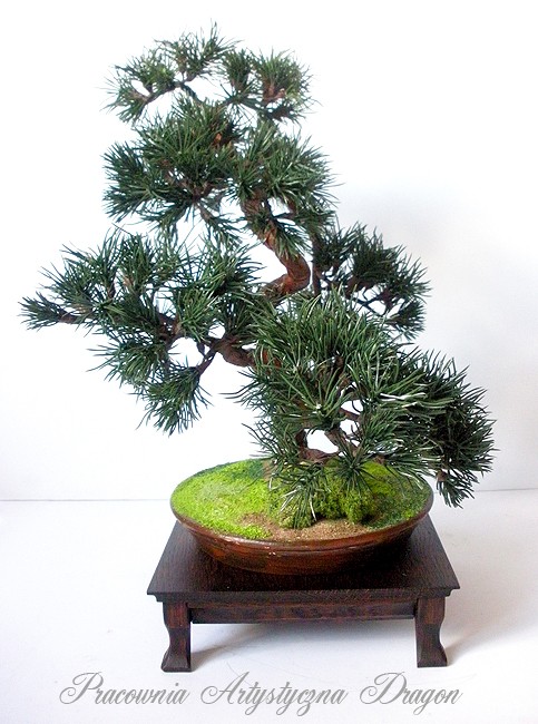 Rośliny, Sztuczne drzewko bonsai sosna w stylu han-kengai (półkaskada) - Sztuczne drzewko bonsai sosna w stylu han-kengai. l
http://dragon.netgaleria.pl/sztuczne-bonsai,39.html