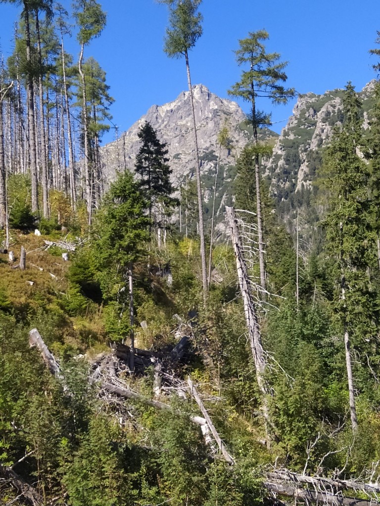 Podróże, Słowacja_Tatry Wysokie_Hrebienok