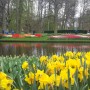 Pozostałe, Wizyta w Keukenhof