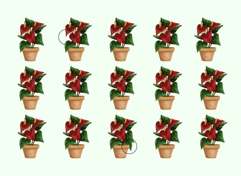 Rozwiązanie zagadki na spostrzegawczość 