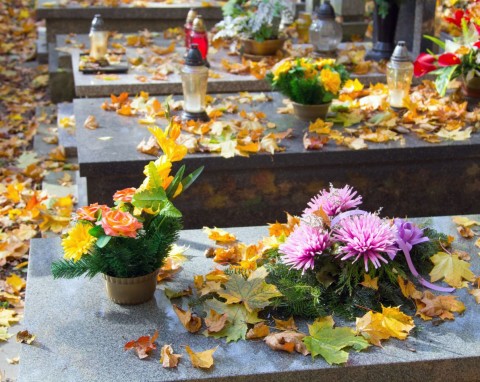 Jak skutecznie usunąć chwasty i mech na cmentarzu? Sprawdzone metody bez użycia chemii