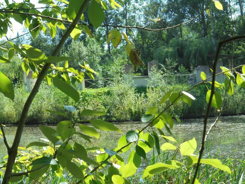 Pozostałe, NATURA w PEŁNEJ  KRASIE - Park Mickiewicza