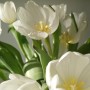 Dekoracje, Wiosenne pisanki haftowanki................. - ....................i tulipany.................