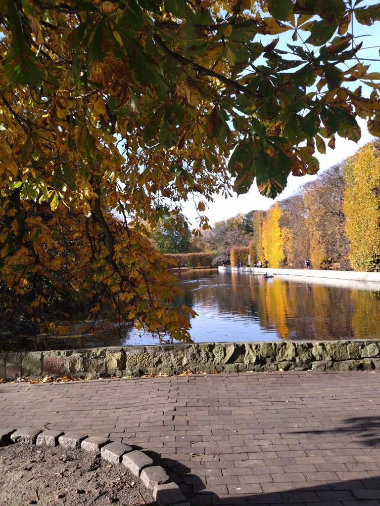 Rośliny, Zaraz listopad.......................... - Jesień nad morzem jest piękna ..................................................