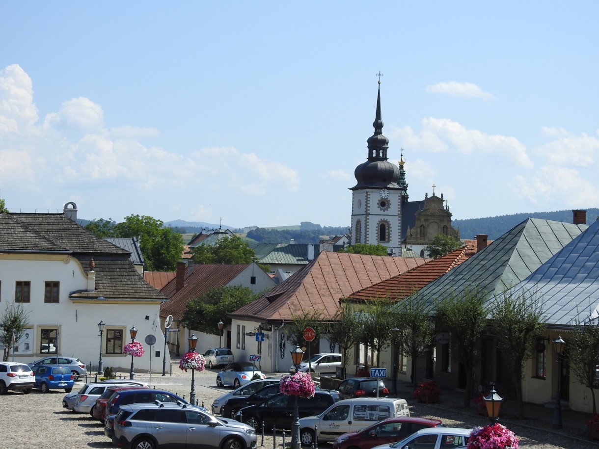 Rośliny, NIEZWYKŁA MOC KWIATÓW I ZIÓŁ