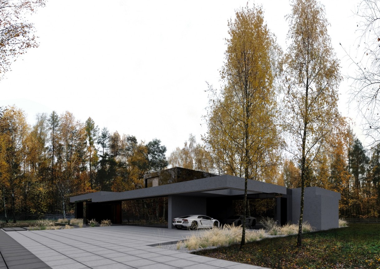 Domy i mieszkania, STARK HOUSE - projekt pracowni REFORM Architekt - Pracownia REFORM Architekt przy każdym projekcie korzysta z tradycyjnych i sprawdzonych metod budowania, co gwarantuje solidne i trwałe realizacje.