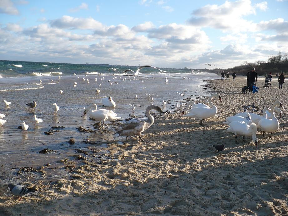 Pozostałe, Styczniowo...........zimowo...........robótkowo........... - .............i plaża...........