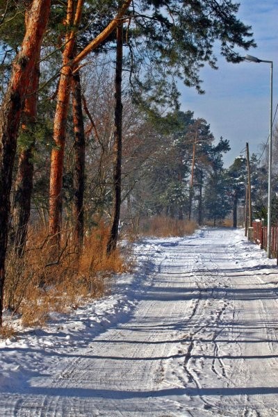 Pozostałe, Dekoracyjna zima.