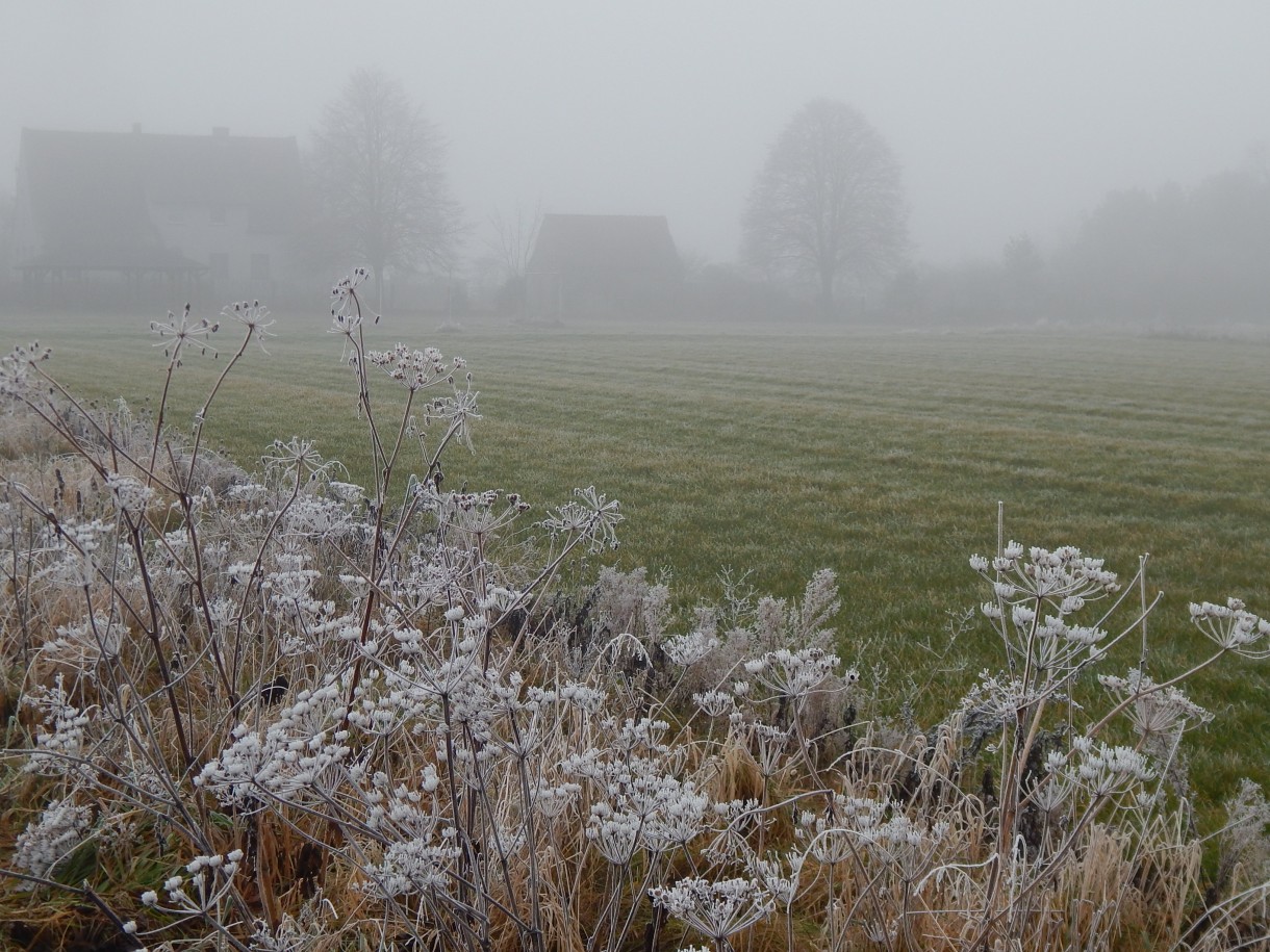 Leśne klimaty, WINTER ART ...