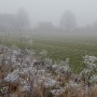 Leśne klimaty, WINTER ART ...