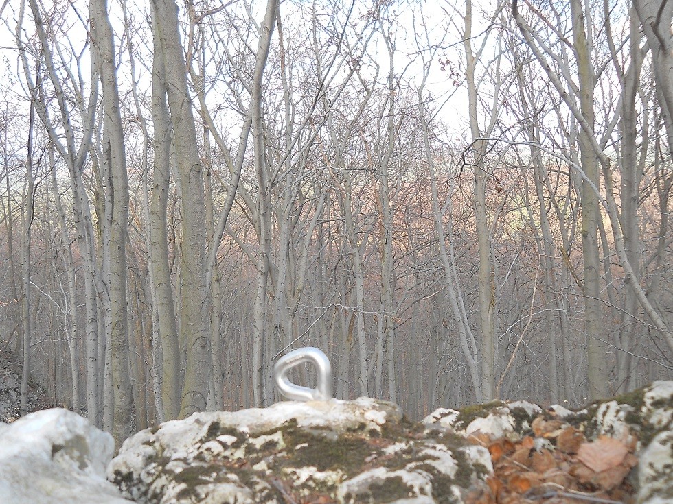 Podróże, Geofity wiosenne - czyli Rezerwat Pazurek i jego bogactwo. - Alpinistyczna kotwa na samiutkim szczycie:)