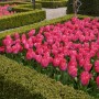 Pozostałe, Keukenhof