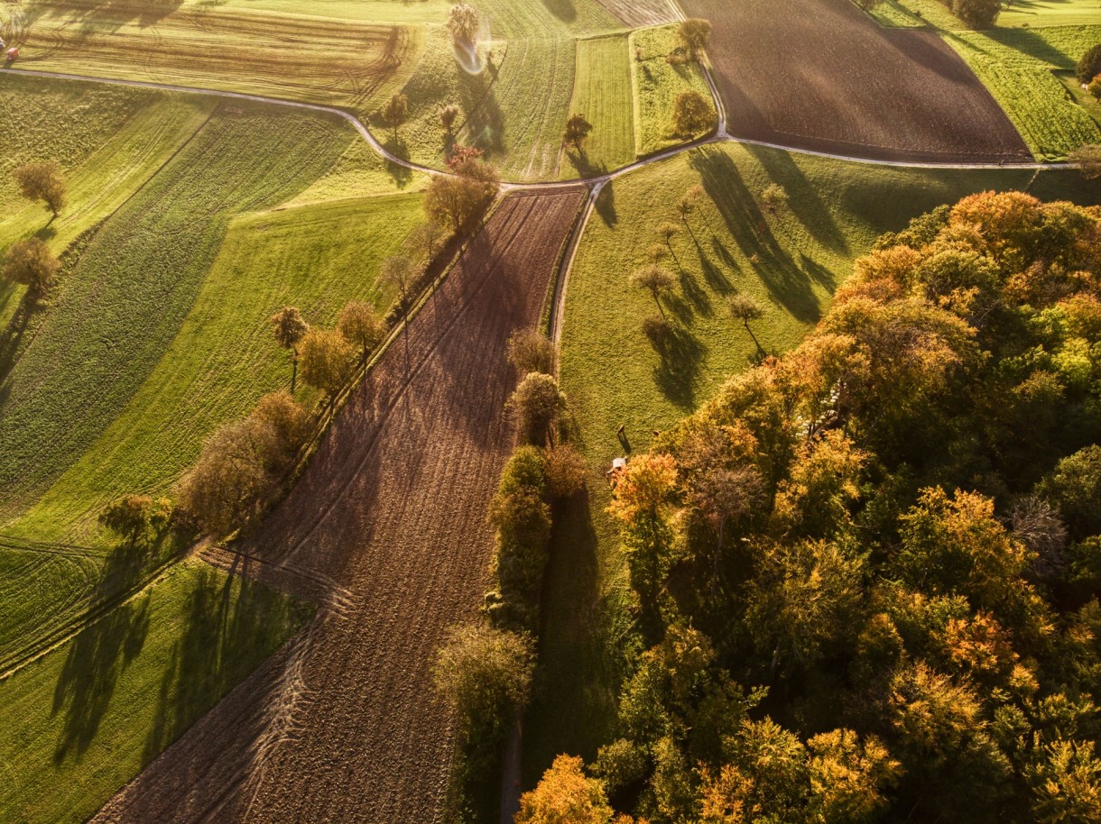 Leśne klimaty, Jesień widziana z nieba