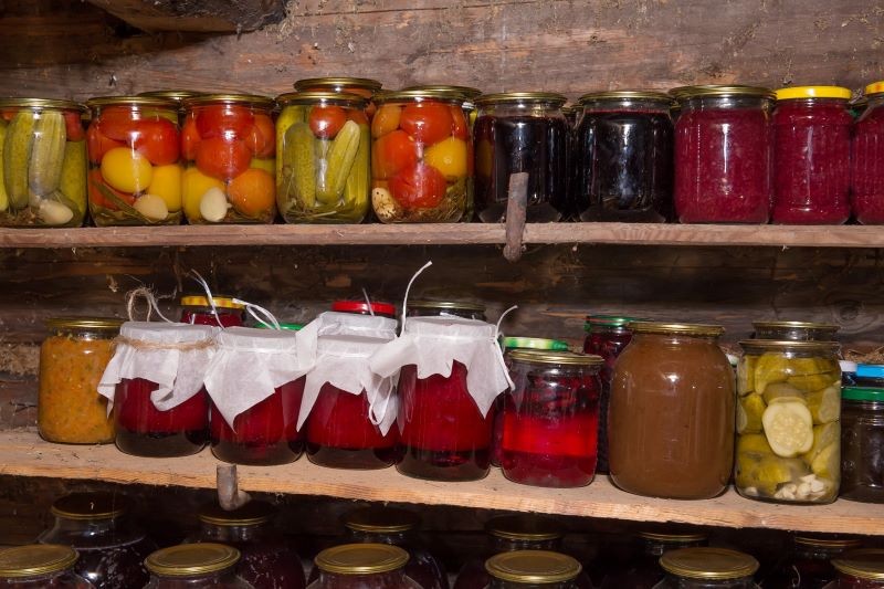 Myszy mogą dostać się do piwnicy nawet przez wąskie szczeliny.