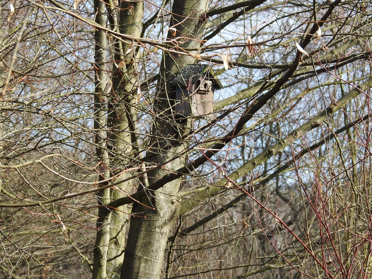 Leśne klimaty, PRZEBUDZENIE...