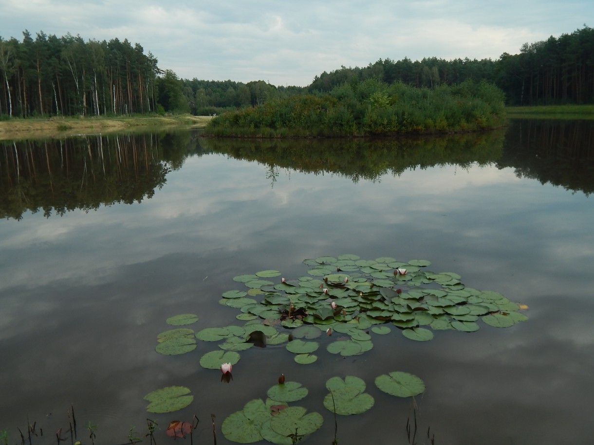 Leśne klimaty, KAWA W LESIE  :)