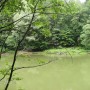 Pozostałe, PIENIŃSKI PARK NARODOWY - SZCZAWNICA - DEPTAK NAD DUNAJCEM