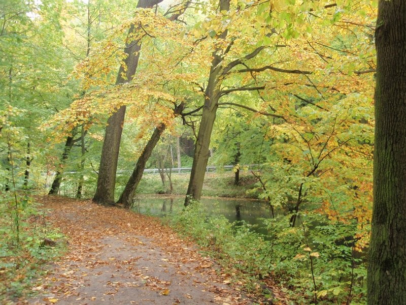 Pozostałe, Październikowo....jesiennie...