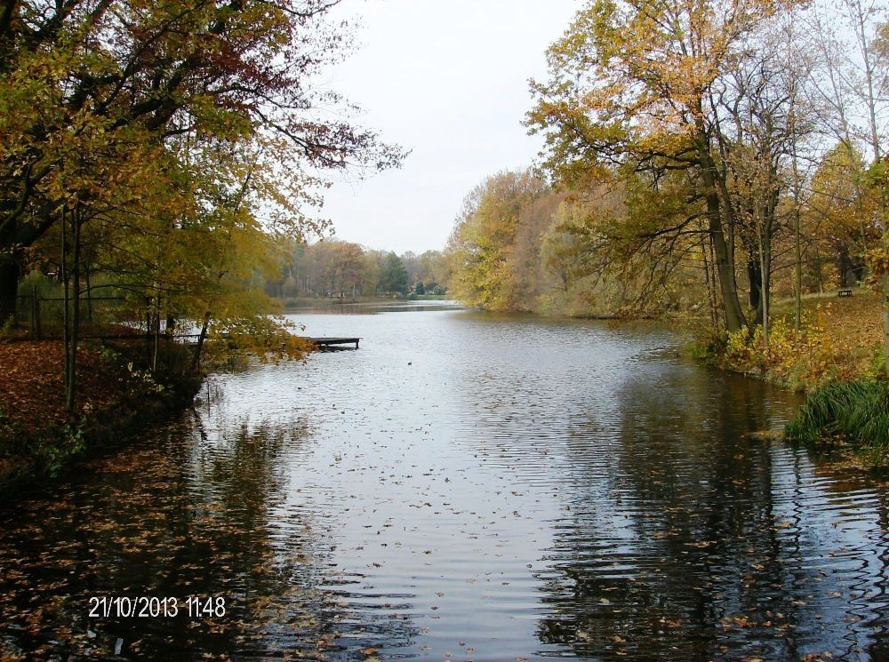 Pozostałe, PARK w ŚWIERKLAŃCU - Rozległe jeziorko ... lustrzane odbicie...