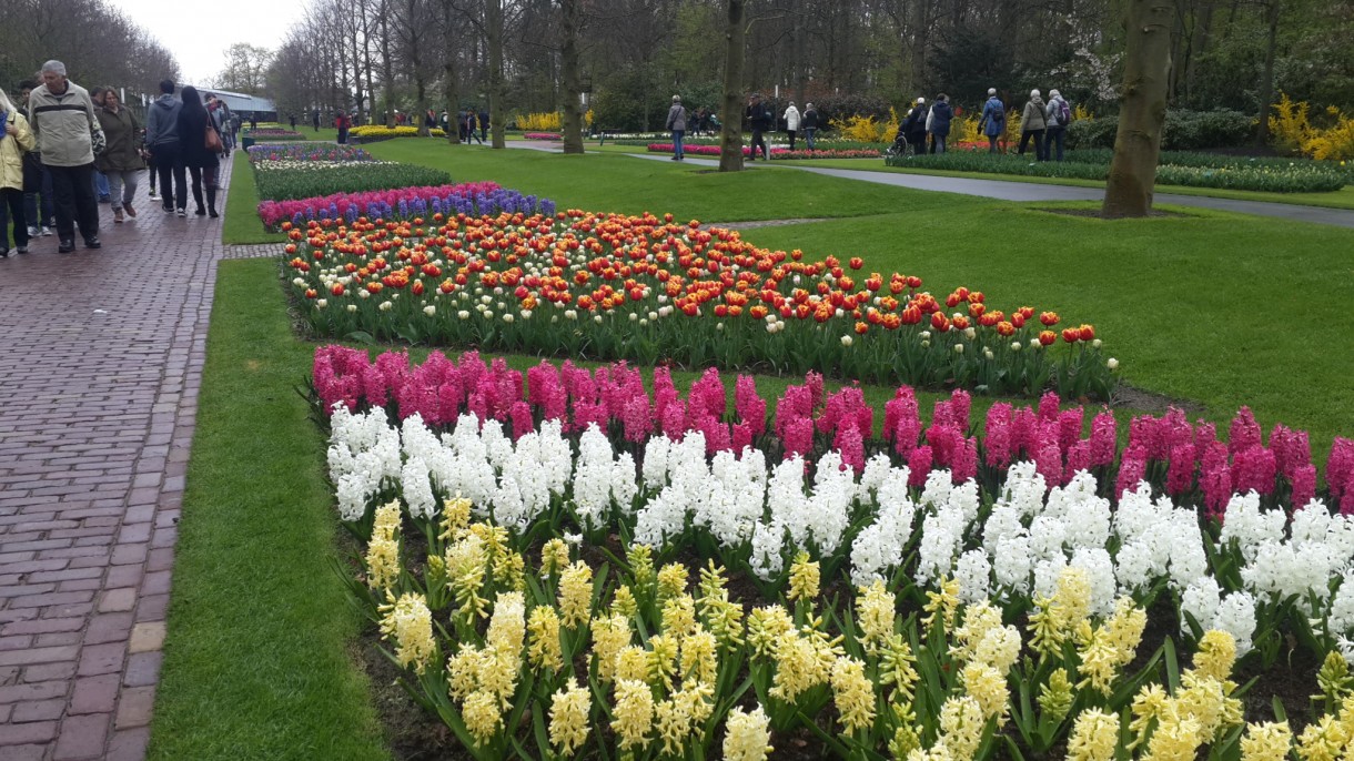 Pozostałe, Wizyta w Keukenhof