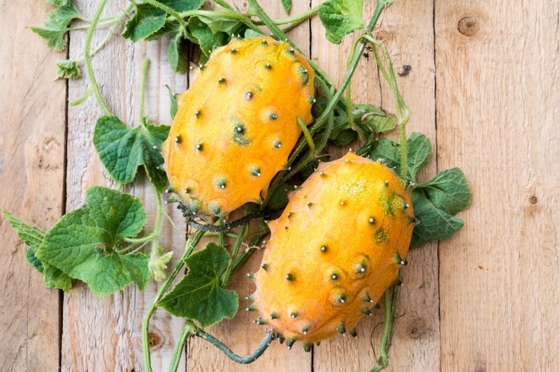 jak uprawiać kiwano