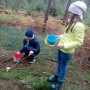 Domy i mieszkania, jesienne kadry z domu i ogrodu ....