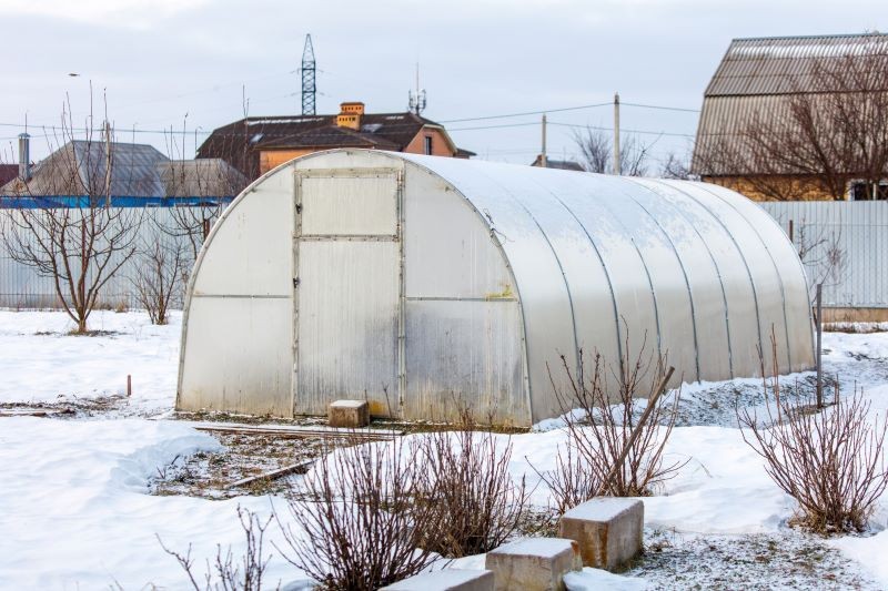 W styczniu możemy siać niektóre warzywa bezpośrednio do gruntu, ale pod osłonami – w szklarni.
