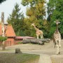 Pozostałe, AFRYKARIUM - WROCŁAW