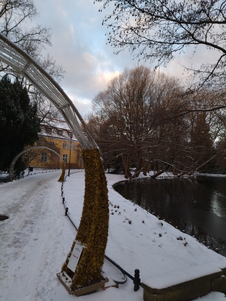 Dekoracje, Gwiazdka................. - Za chwilę Boże Narodzenie ....................przygotowania do świąt trwają ................życzę Wam Zdrowych , Szczęśliwych  i Radosnych Świąt spędzonych w gronie rodzinnym i wśród przyjaciół :)