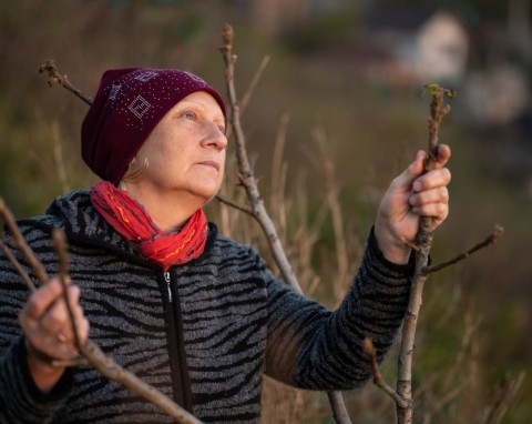 9 roślin, których nie wolno przycinać w listopadzie. Wiosną nie wypuszczą nowych pędów