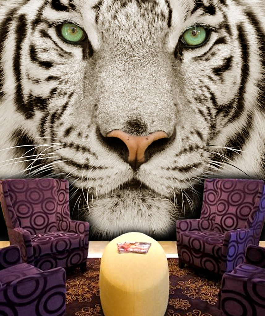 Salon, PIXERS - Salon - Biały tygrys i jego krystaliczne spojrzenie, piękne!