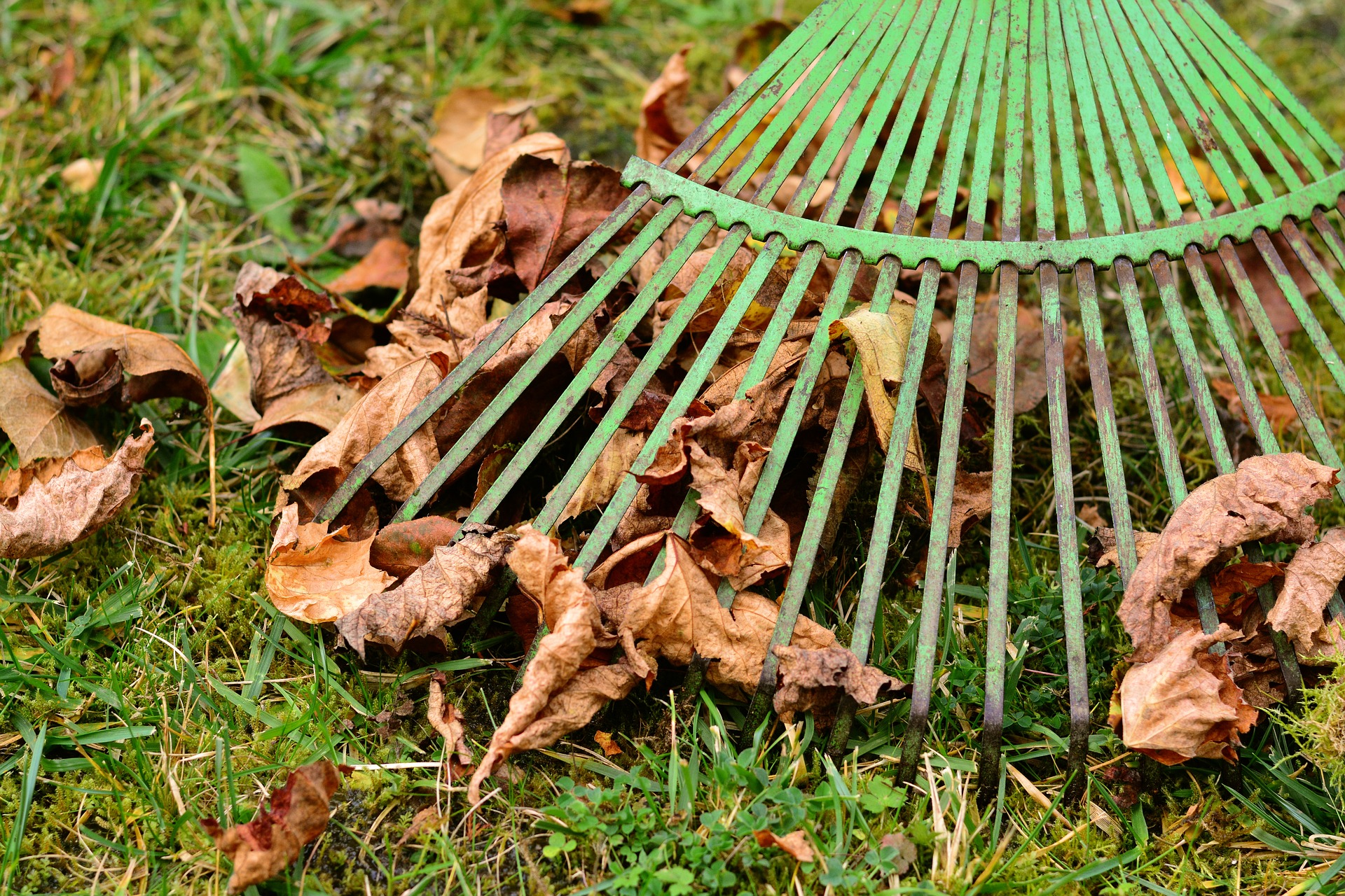 Rake up. Грабли. Грабли для листвы. Субботник грабли. Грабли убирать листья.