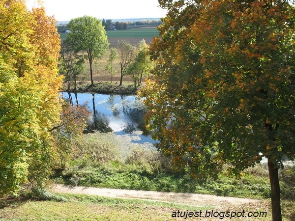 Pozostałe, Odkurzone foto - Park Czartoryskich w Puławach z zabytkami, ale teraz letnią porą. Widok ze skarpy na starą łachę wiślaną i pływające łabędzie.