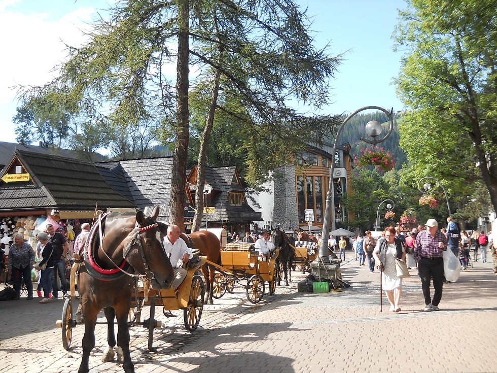 Podróże, Zakopane w foto - pigułce. Część pierwsza: Krupówki. - Górale i ich koniki. Paradnie. A i praca lżejsza, niż całodzienna orka.