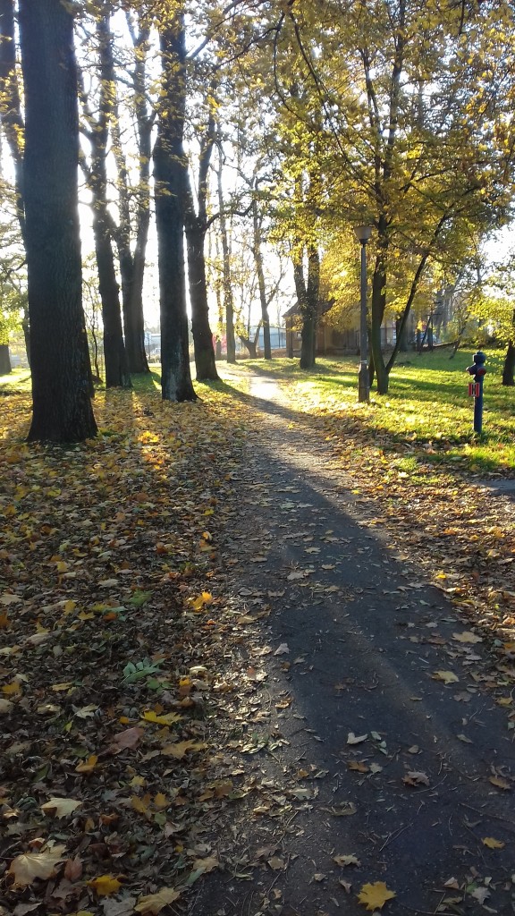 Leśne klimaty, Park jesienią