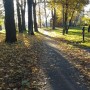 Leśne klimaty, Park jesienią