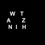 Pozostałe, WYPRZEDAŻ DEKORACJI - litery  W  T A Z N I H